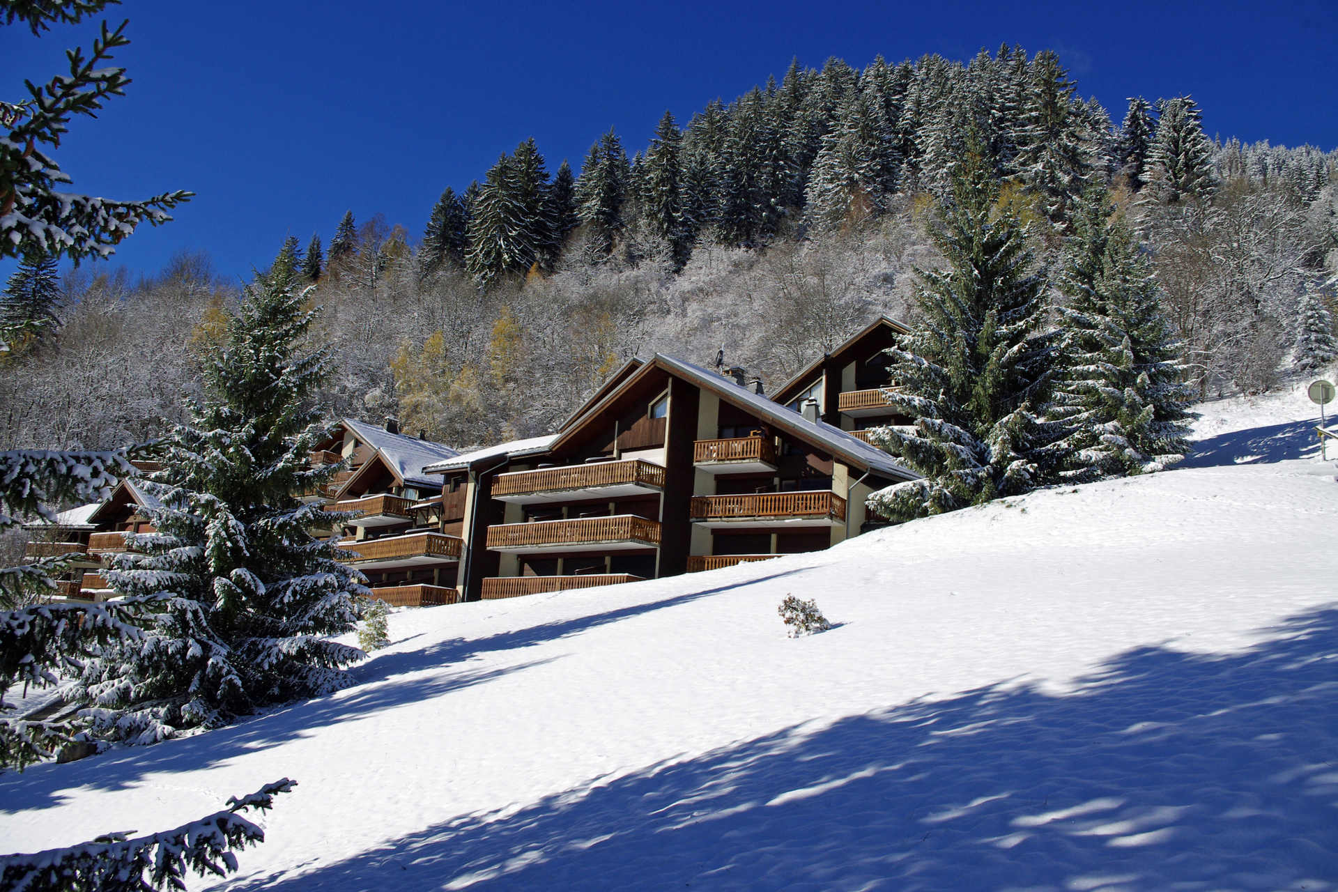 Ancolie - Les Hauts De Planchamp