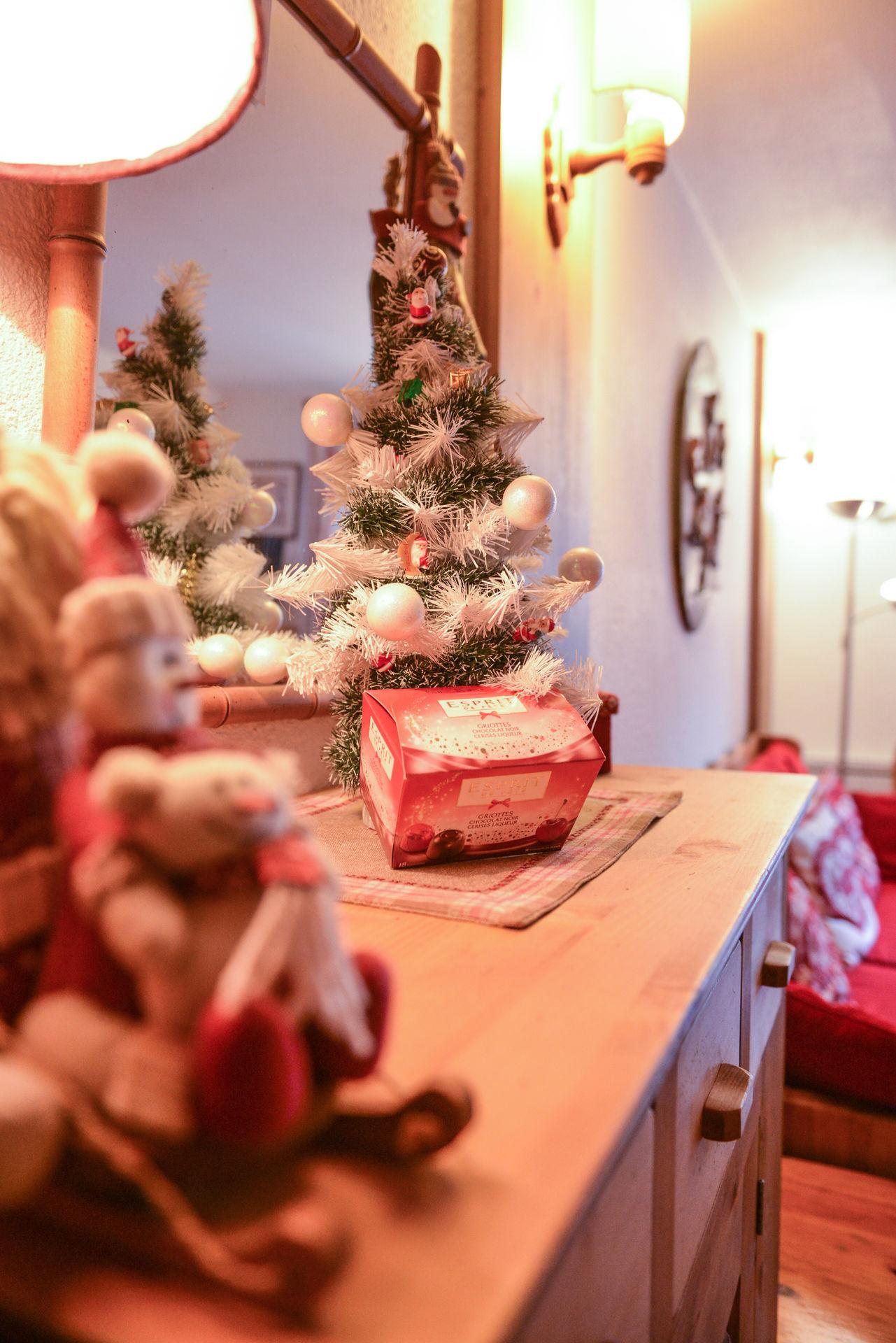 location-studio-Brides-les-Bains-4-personnes-1919-4-Alpissime