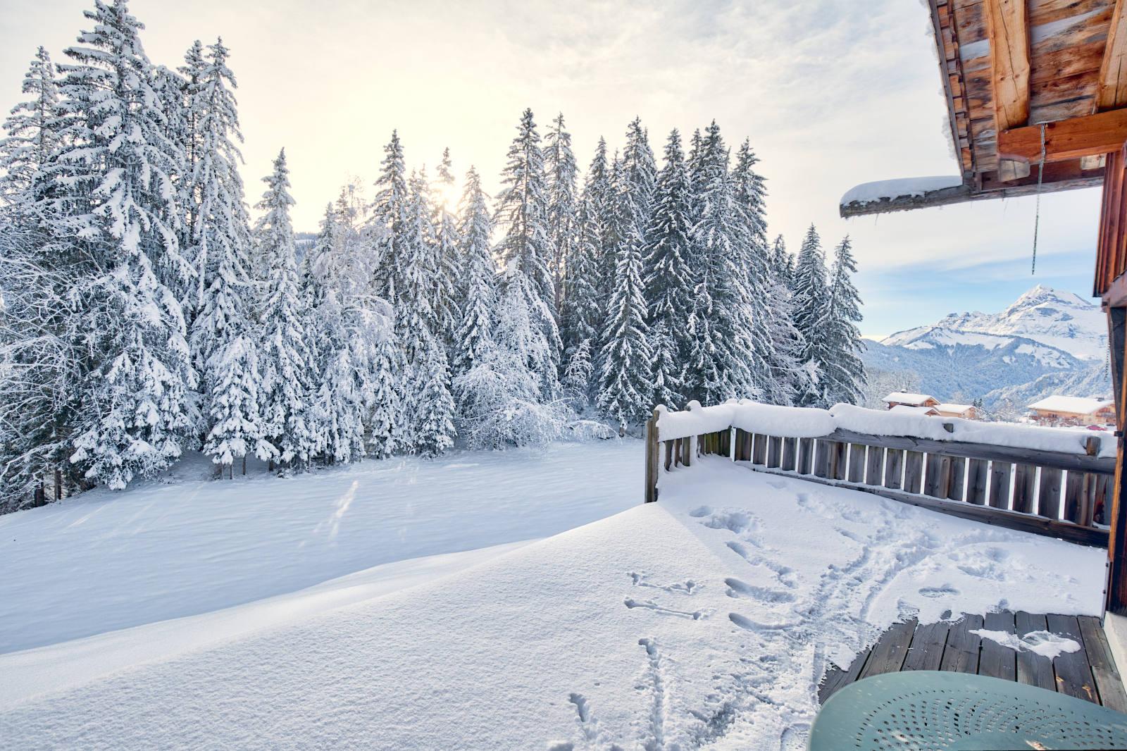 location-chalet-Notre-Dame-de-Bellecombe-8-personnes-3345-5-Alpissime