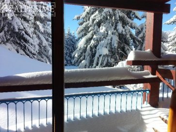 location-studio-Arc-1800-Charvet-4-personnes-379-2-Alpissime